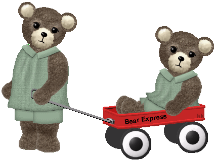 Bear Express